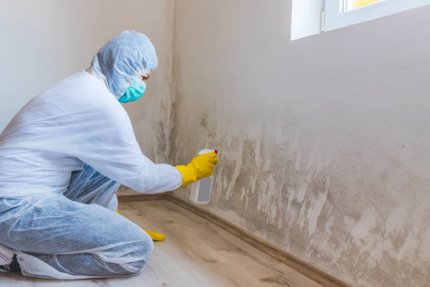 Commercial Mold Remediation assessment for commercial property in Belvidere